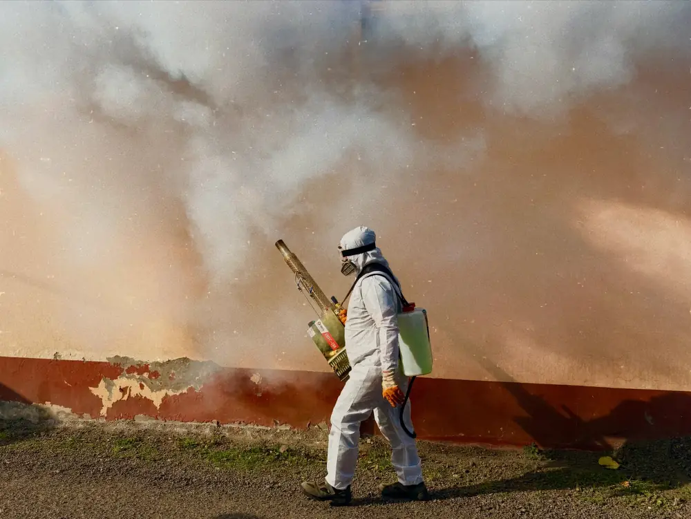 Post-Termite Control in Mumbai